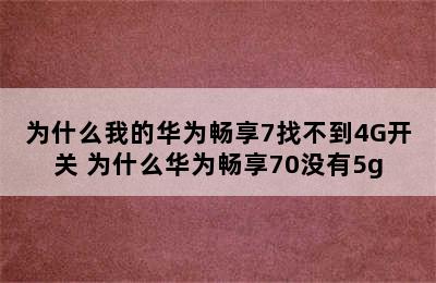 为什么我的华为畅享7找不到4G开关 为什么华为畅享70没有5g